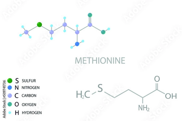 Fototapeta Methionine molecular skeletal 3D chemical formula.	