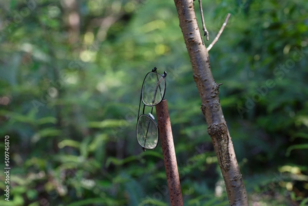 Obraz 森の忘れ物