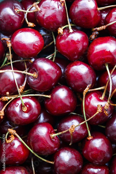 Obraz Cherries background