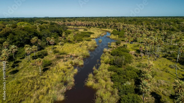 Obraz Naturaleza Chaqueña - Reserva Monte Constanza