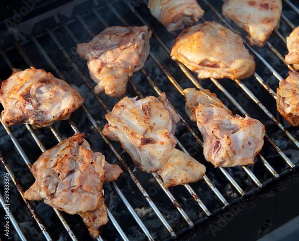 Obraz Meat is fried on coals in a brazier.