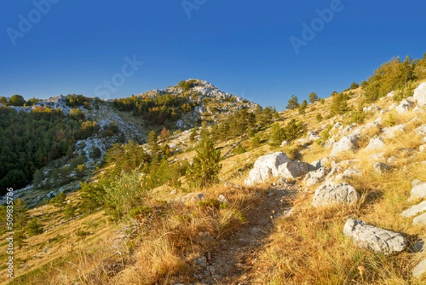Obraz vosac peak in biokovo mountain, dalmatia, croatia