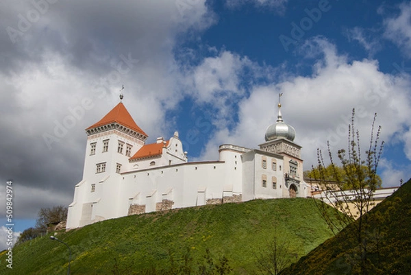 Obraz castle in Grodno