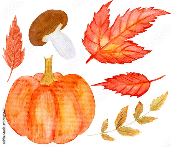 Fototapeta Watercolor autumn collection of autumn leaves, pumpkin, mushroom for thanksgiving are isolated on a white background.