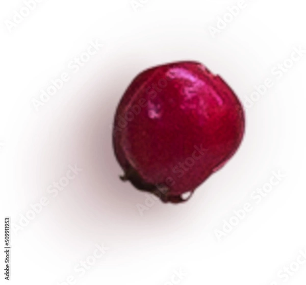 Obraz Hawthorn Berry