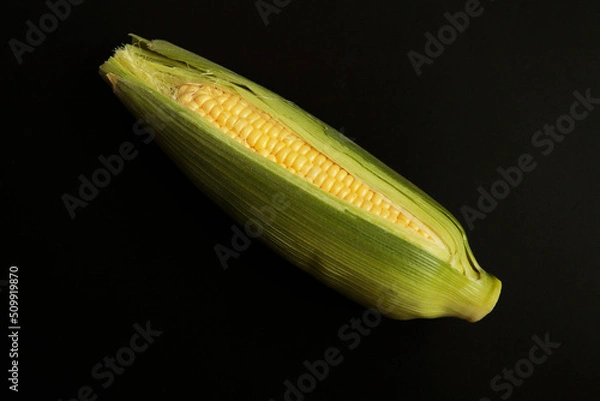 Fototapeta Freshly picked corn on the table