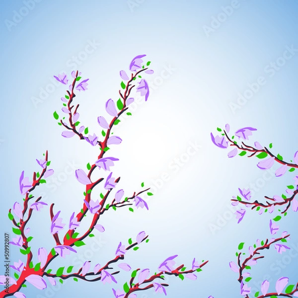 Obraz vector cherry flowers