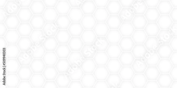 Obraz white abstract background with futuristic and hexagon concept