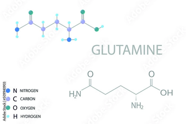 Fototapeta Glutamine molecular skeletal 3D chemical formula.	