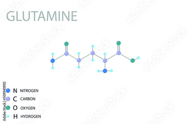 Fototapeta Glutamine molecular skeletal 3D chemical formula.	