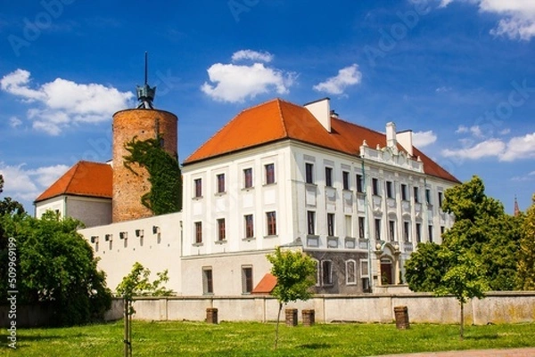 Fototapeta Castle of princes of Glogow