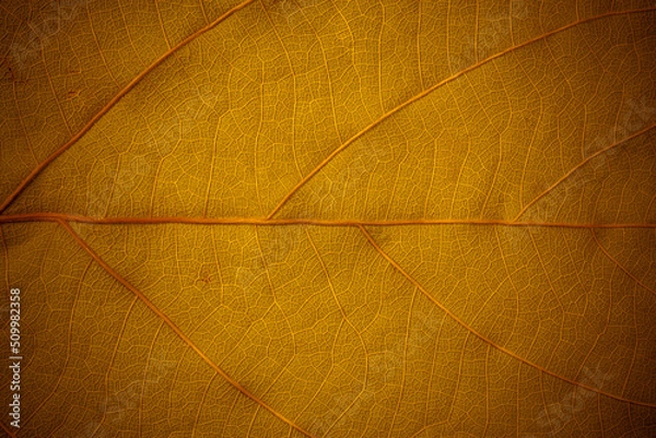 Obraz Gold surface leaves for background.