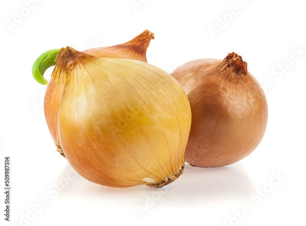 Obraz Onion isolated on white background.