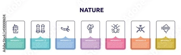 Fototapeta nature concept infographic design template. included walkie talkie, flippers, squid, balloons, antlion, pond skater, glacier icons and 7 option or steps.