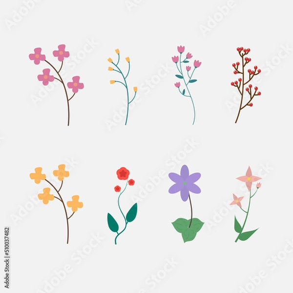 Fototapeta Botanical set flowers