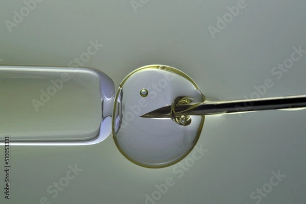 Fototapeta Ovum with a needle for artificial insemination or in vitro fertilization. The concept of genetic engineering and artificial insemination or infertility treatment.