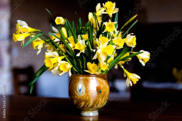 Fototapeta bouquet de jonquille