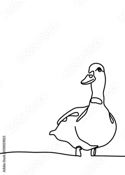 Obraz continuous line drawing - duck