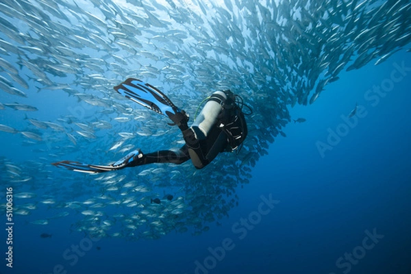 Obraz Trevally and diver