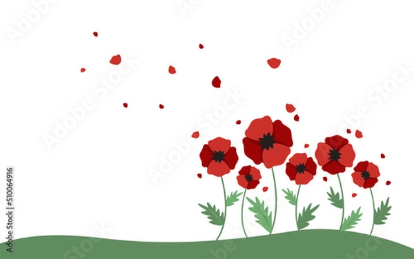 Obraz Banner with poppies as a symbol of freedom in Ukraine on white background. 