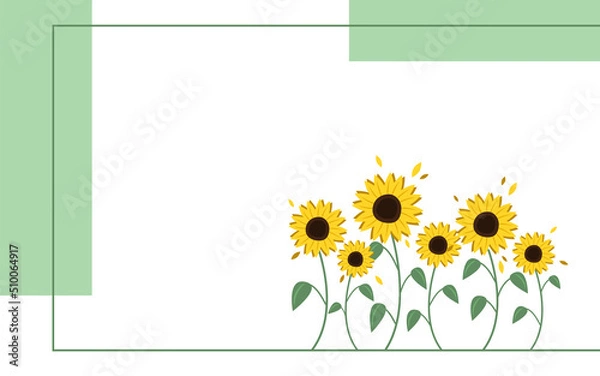 Obraz Banner with sunflowers as a symbol of freedom in Ukraine on white background.