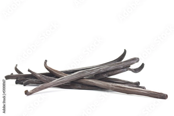 Obraz Vanilla Bean
