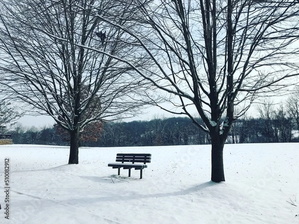 Obraz bench in the park in winter