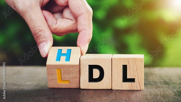 Obraz Hand flipping wooden cube block from change LDL to HDL for High is high density lipoprotein and LDL is low density lipoprotein concept on nature background.                          