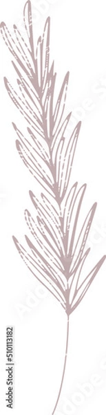 Obraz Elegant branches and leaves hand drawn illustration, minimal doodles