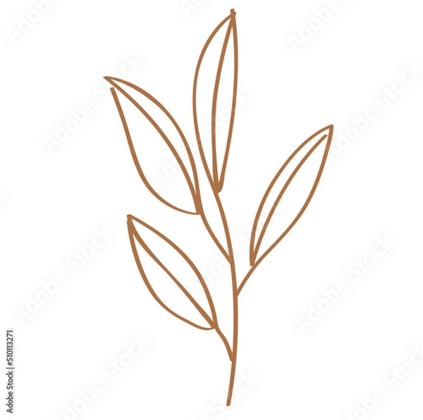 Obraz Branch linear sketch illustration
