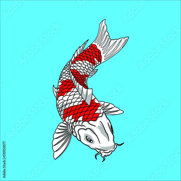 Obraz KOI FISH ICON IMAGE VECTOR ILLUSTRATION