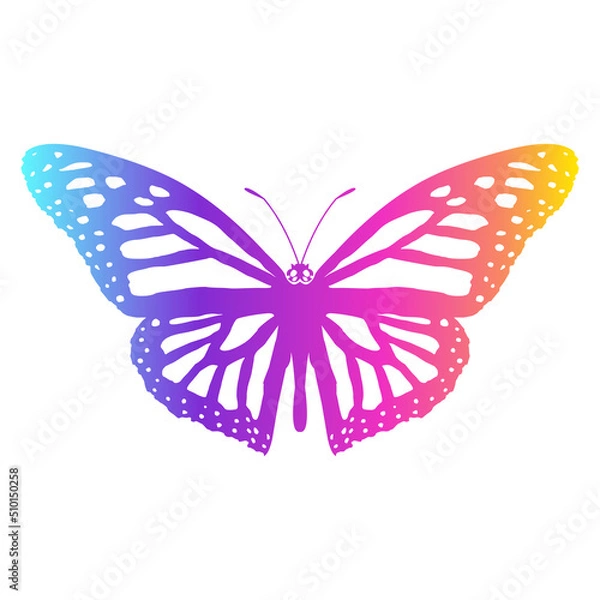 Obraz RGB GRADIENT BUTTERFLY BUNDLE PKG FILE 