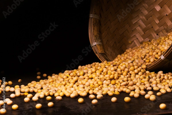 Fototapeta Photo of soybean seeds spilling from their container on a black background. Suitable for design elements of agricultural products, healthy food, and organic food.