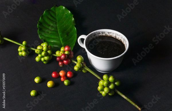 Fototapeta Photo of a cup of black coffee and fresh original coffee beans on a black background. Perfect for the design elements of the barista, coffee shop and coffee industry.