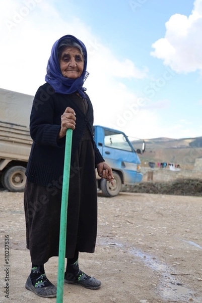 Fototapeta  in winter