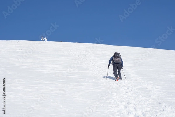 Fototapeta 雪山登山