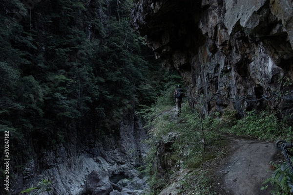 Fototapeta 大杉谷