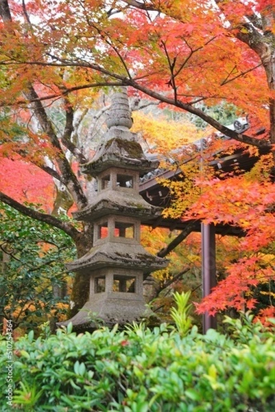 Fototapeta 奥嵯峨の常寂光院の紅葉と石塔