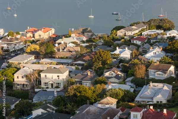 Fototapeta Widok z lotu ptaka domów w Devonport w Nowej Zelandii