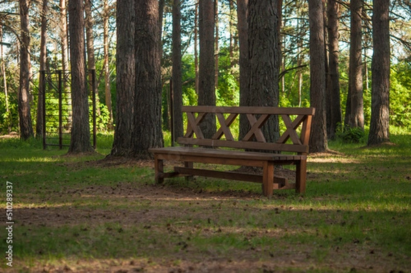 Obraz bench in a public park