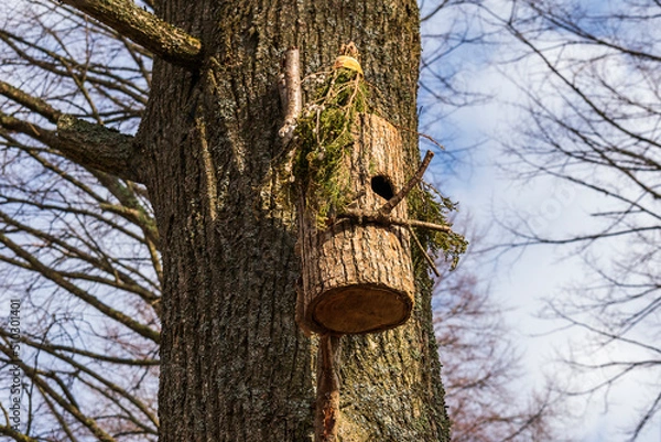Fototapeta A hollow house for birds on a tree