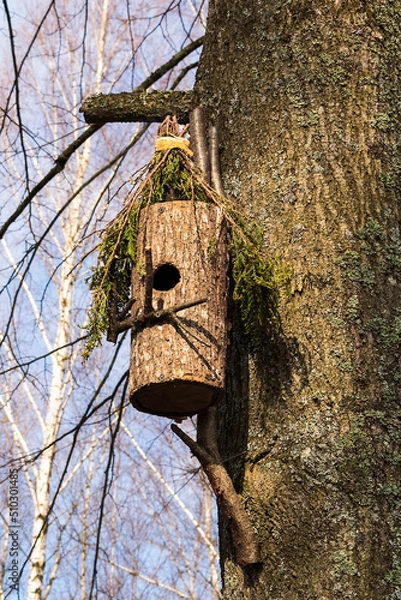 Fototapeta A hollow house for birds on a tree