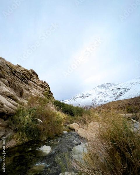 Obraz landscape with sky