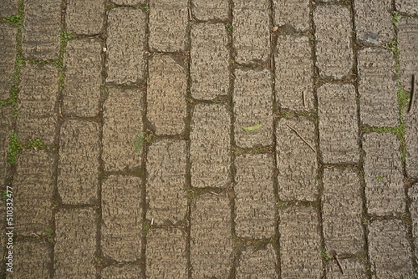 Obraz レンガの道