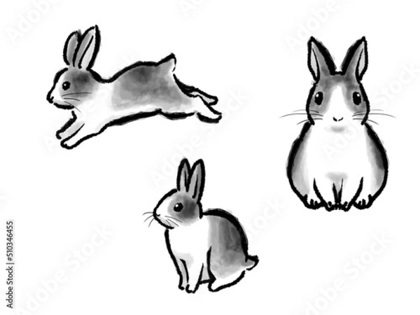 Fototapeta 水墨画風のぶちウサギ
