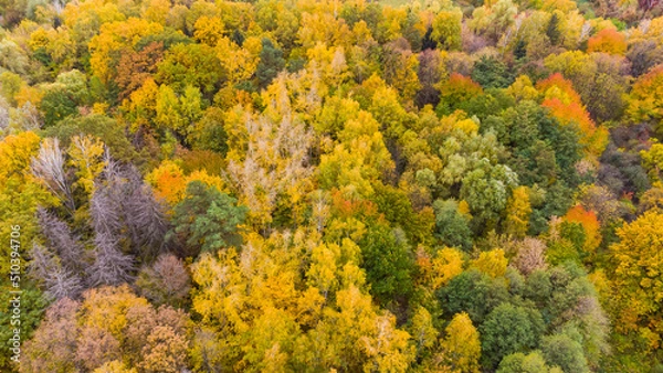 Fototapeta Colorful backround image of autumn leaves perfect for seasonal use