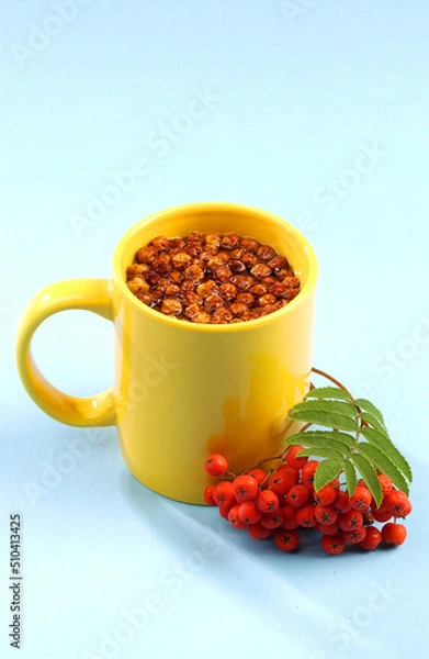 Obraz hot tea with rowan on a blue background
