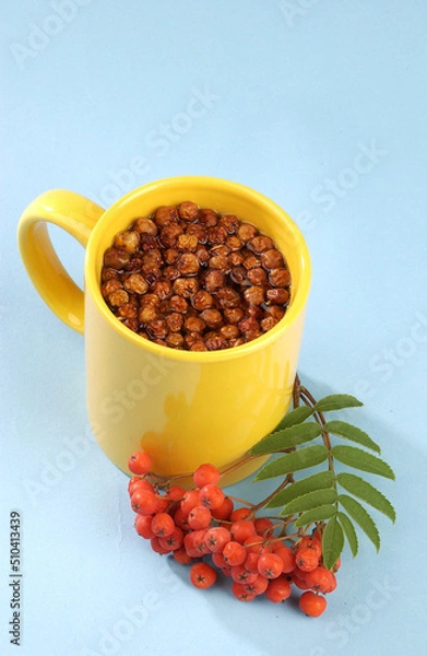 Fototapeta hot tea with rowan on a blue background