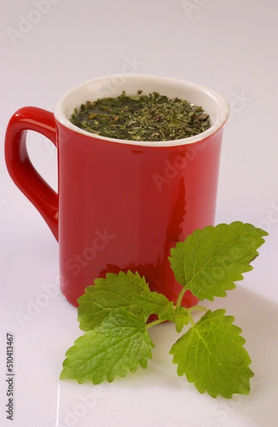 Fototapeta hot tea with mint on a blue background