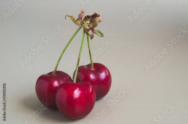 Obraz Three red cherries with stems on gray background